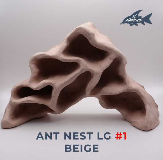 Shelta Ant Nest